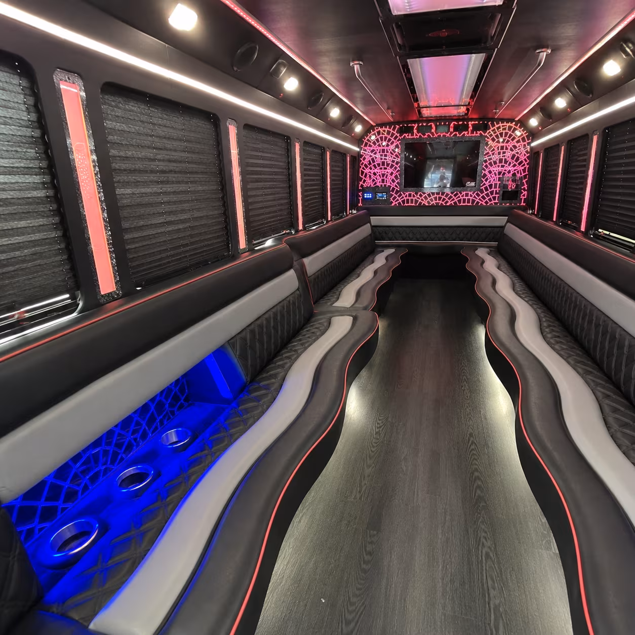 san ramon birthday party bus rental