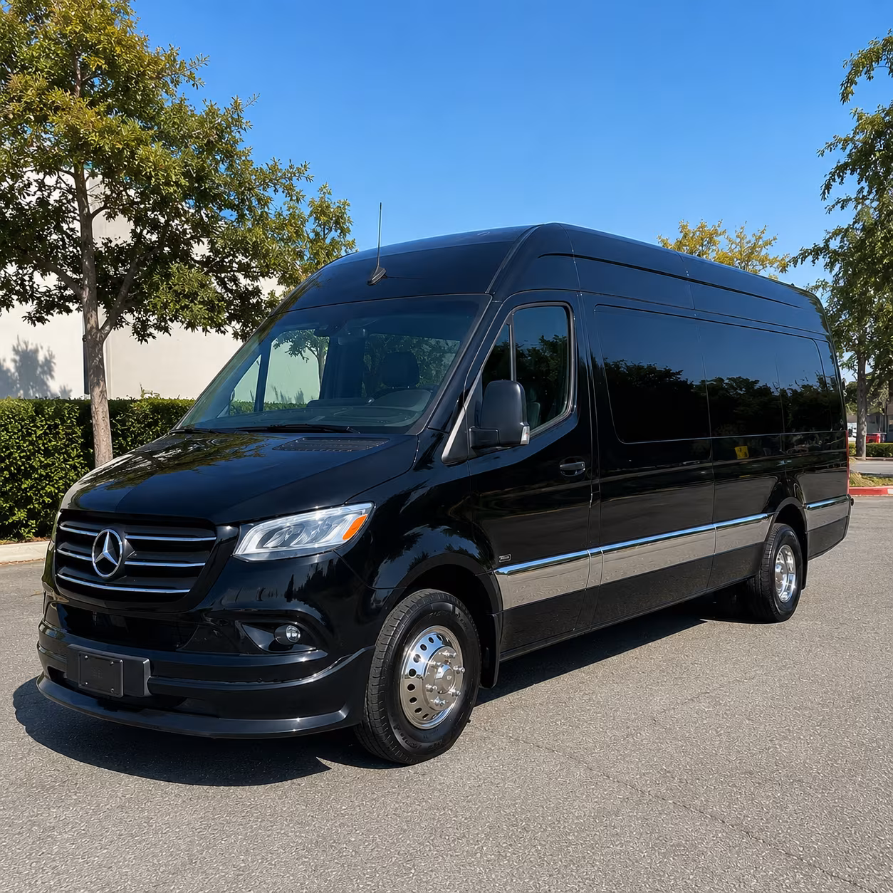sprinter van with driver